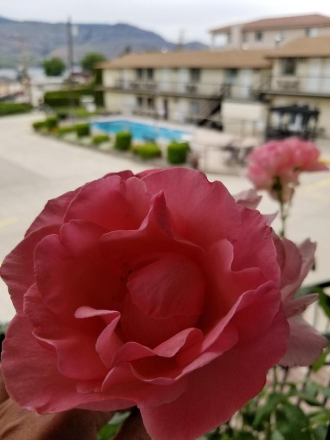 Osoyoos Lakeview Inn & Suites Exteriör bild